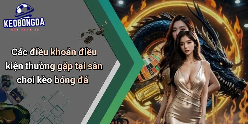 Các điều khoản điều kiện thường gặp tại sân chơi kèo bóng đá