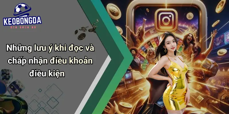 Những lưu ý khi đọc và chấp nhận điều khoản điều kiện