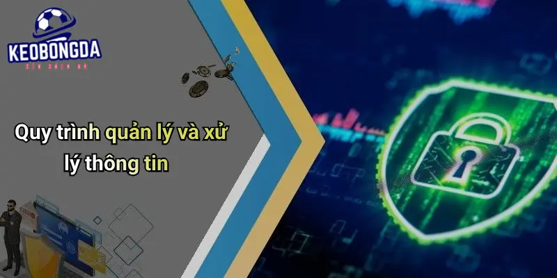 Quy trình quản lý và xử lý thông tin