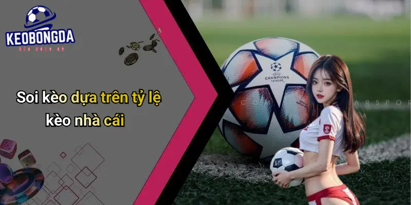 Soi kèo dựa trên tỷ lệ kèo nhà cái