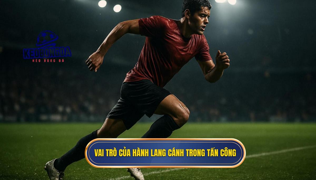 Bản chất và vai trò của hành lang cánh trong tấn công