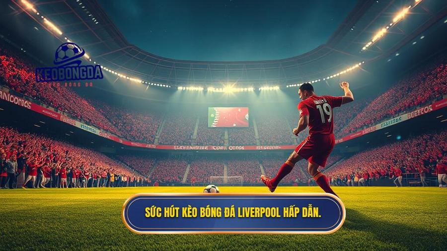 Sức hút kèo bóng đá Liverpool hấp dẫn