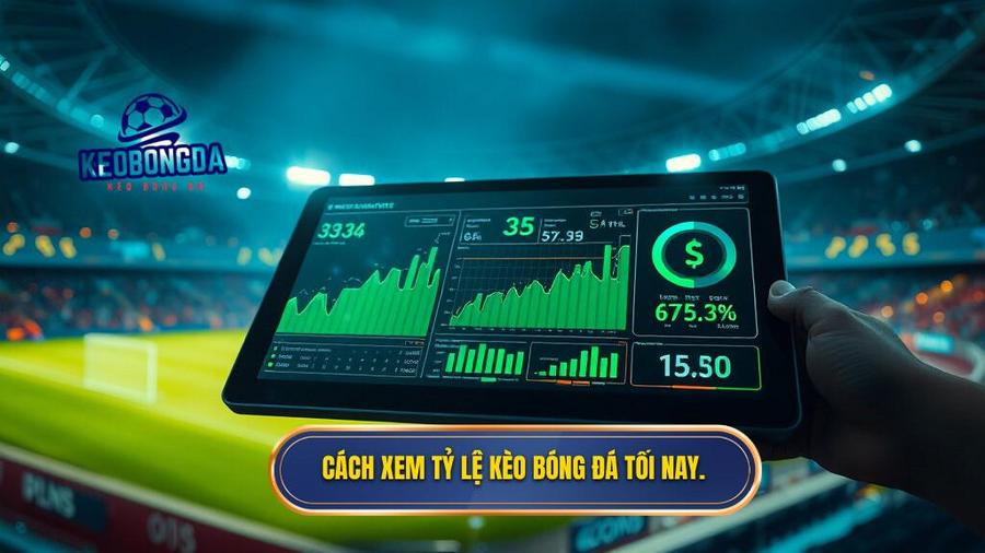 Hiểu đúng về tỷ lệ kèo tối nay trong cá cược bóng đá
