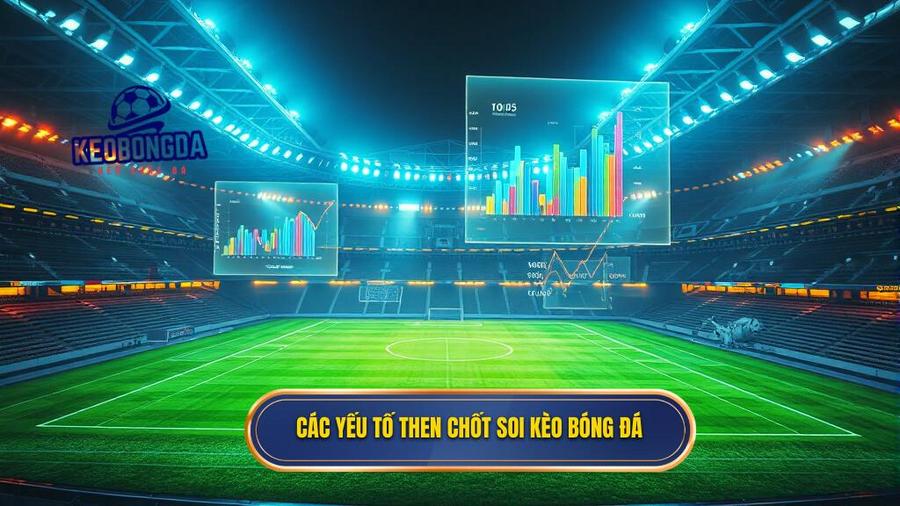 2. Các yếu tố then chốt soi kèo bóng đá