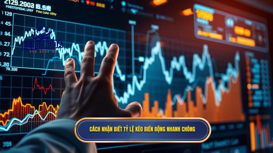 Cách nhận biết tỷ lệ kèo biến động nhanh chóng và chính xác