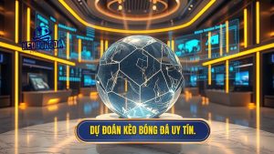Dự đoán kèo bóng đá uy tín.