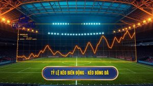  Tỷ lệ kèo biến động là gì? Cách đọc vị nhà cái để thắng lớn